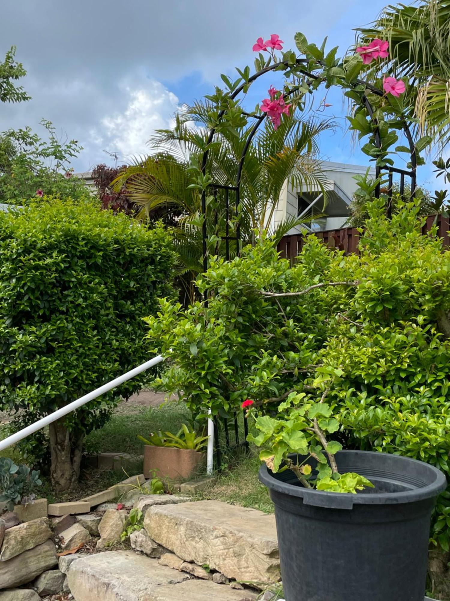 Theme Parks Amituofo Homestay Gold Coast Eksteriør billede
